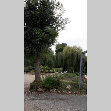 Entre Vignes Et Loire Apartment Blaison-Saint-Sulpice Luaran gambar